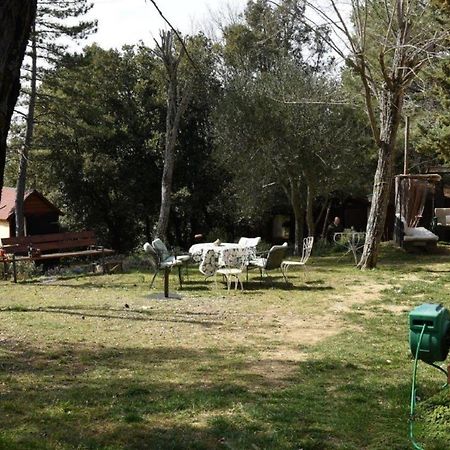 Apartament Mdq - Azienda Agricola Castiglione dʼOrcia Zewnętrze zdjęcie