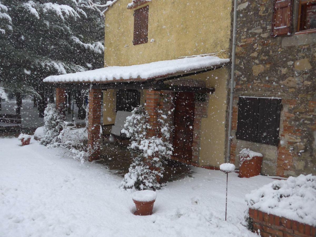 Apartament Mdq - Azienda Agricola Castiglione dʼOrcia Zewnętrze zdjęcie