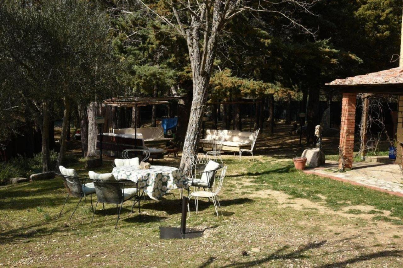Apartament Mdq - Azienda Agricola Castiglione dʼOrcia Zewnętrze zdjęcie